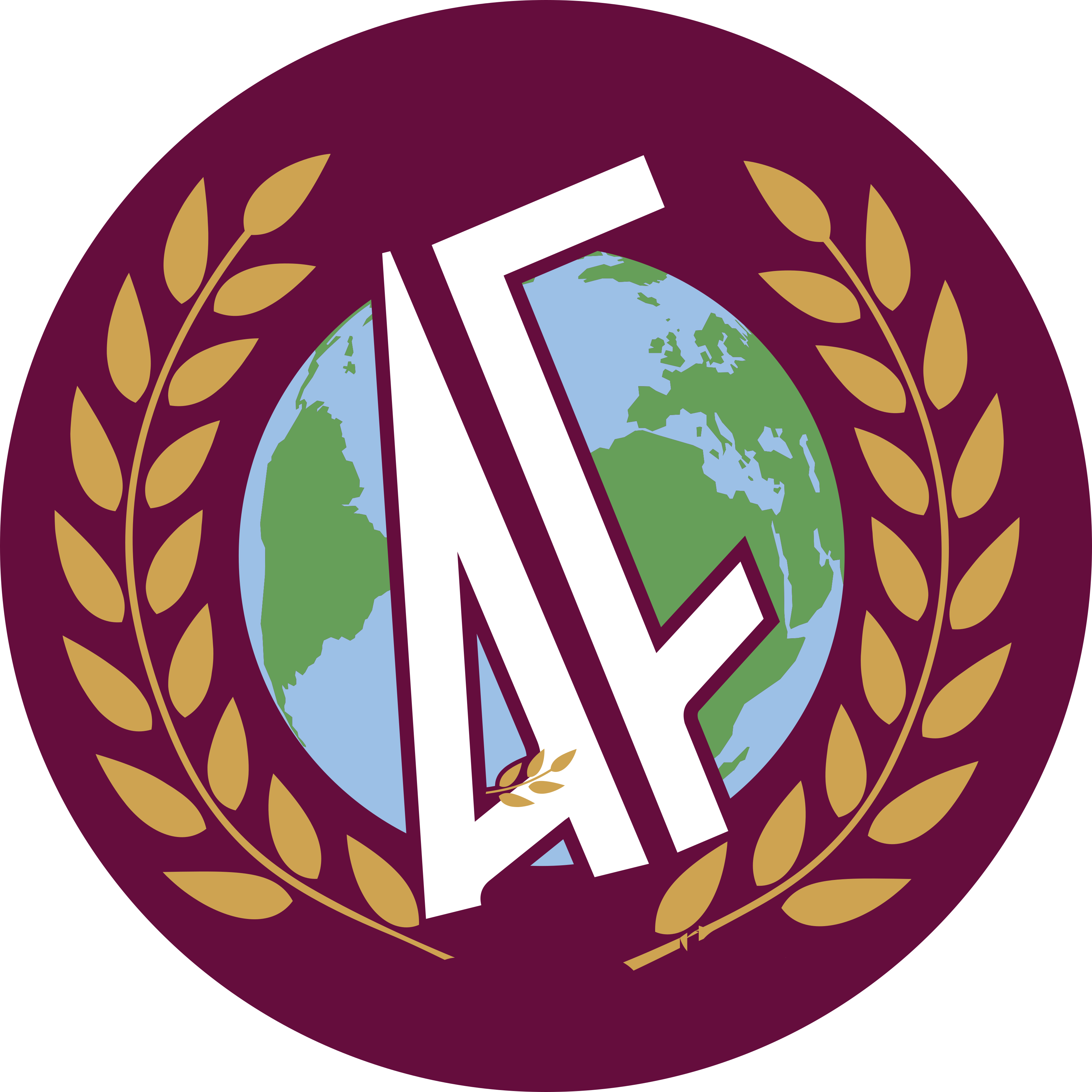 CloudAF Logo